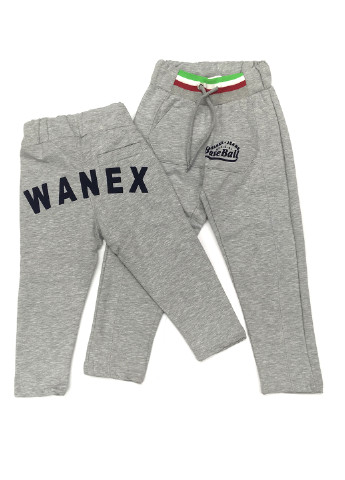 Серые спортивные демисезонные брюки джоггеры Wanex