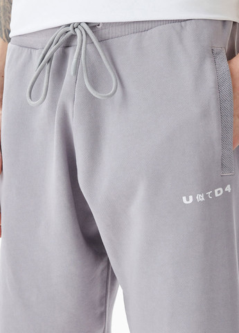 Серые спортивные демисезонные джоггеры брюки UNITED4
