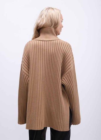 Темно-бежевий демісезонний джемпер джемпер Fashion