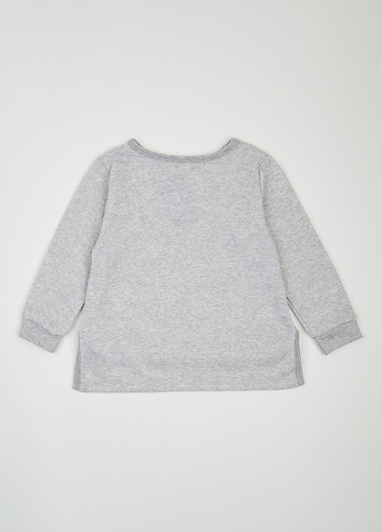 Сірий світшот dexter's меланж без декору (292822544)