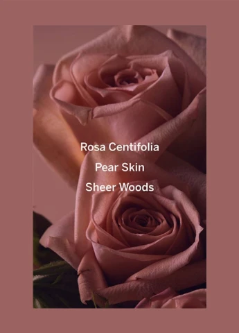 Подарунковий набір Bare Rose (3 пр.) Victoria's Secret (370798011)