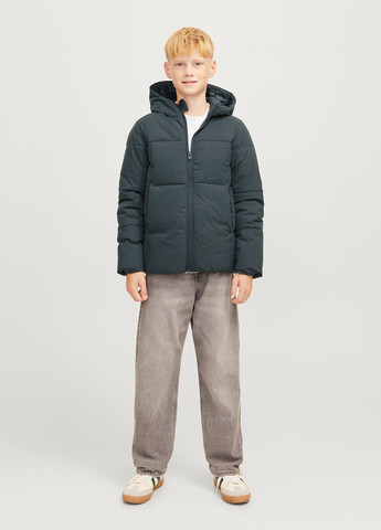 Сіро-синя зимня куртка Jack & Jones
