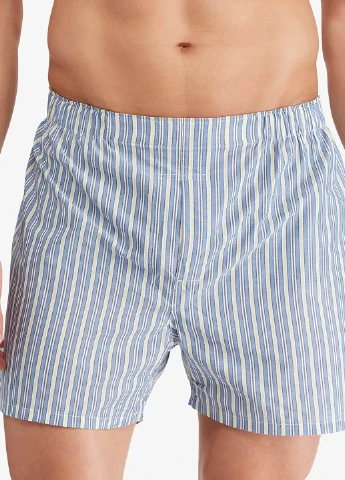 Труси (3 шт.) Ralph Lauren (257927800)