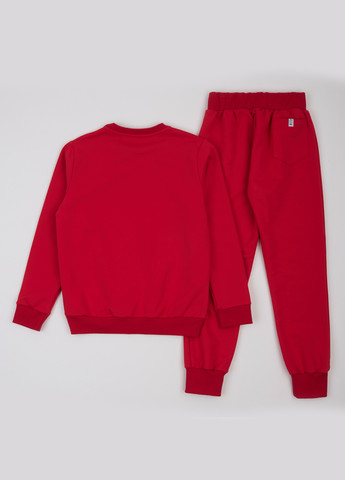 Костюм (світшот, штани) ArDoMi (316877968)