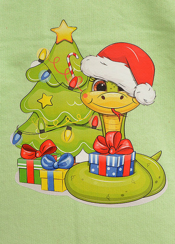 Зеленый зимний костюм (лонгслив, брюки) брючный Blanka