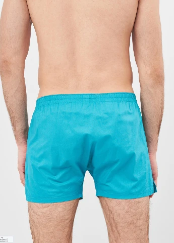 Труси (2 шт.) Pull&Bear (221206309)