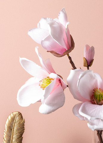 Квіти Aquarel Magnolia, 20 см English Home (207863564)
