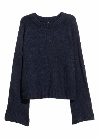 Синій демісезонний джемпер H&M