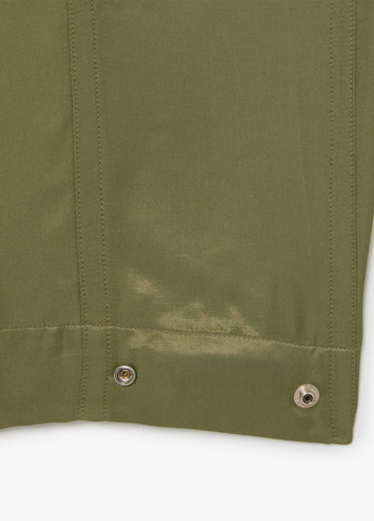 Брюки Lacoste (329694352)