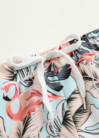 Плавки SHEIN (323127344)