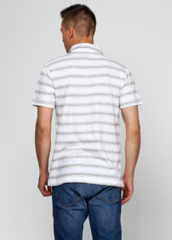 Белая футболка-поло для мужчин Calvin Klein в полоску