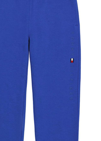 Синие спортивные демисезонные джоггеры брюки Tommy Hilfiger