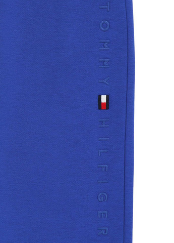 Синие спортивные демисезонные джоггеры брюки Tommy Hilfiger