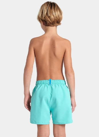 Шорты Arena BEACH BOXER SOLID R (298488742)