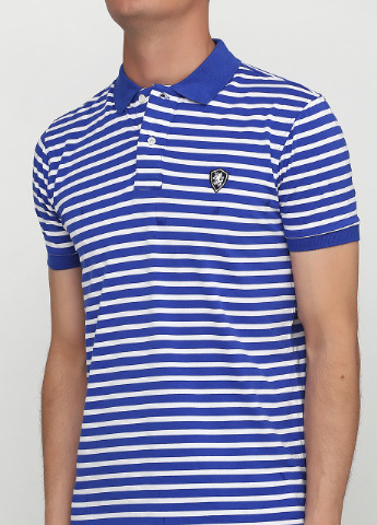 Цветная футболка-поло мужское для мужчин Tommy Hilfiger в полоску
