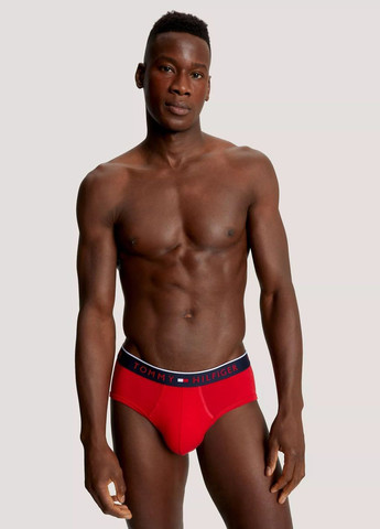 Труси (3 шт.) Tommy Hilfiger (348838111)