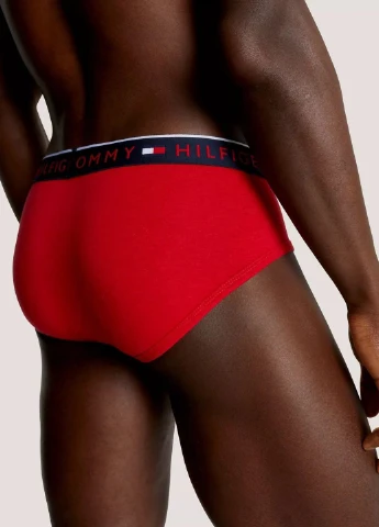Труси (3 шт.) Tommy Hilfiger (348838111)