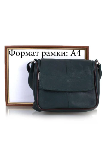 Жіноча шкіряна міні-листоноша 20х18х7,5 см TuNoNa (253031761)
