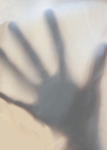 Шорти SHEIN (366498800)