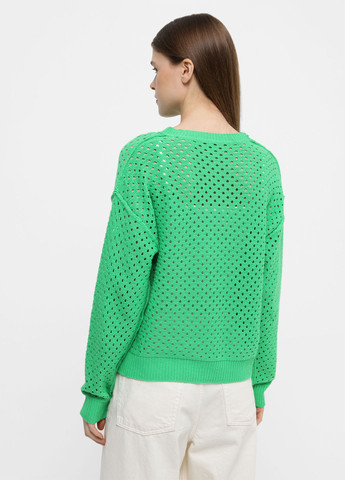 Зелений демісезонний джемпер джемпер Braska