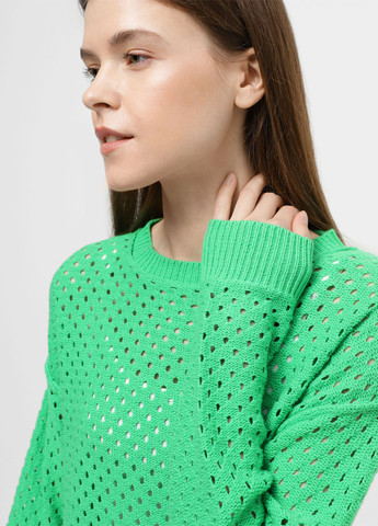 Зелений демісезонний джемпер джемпер Braska