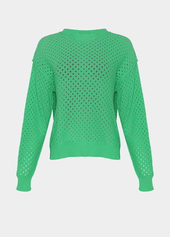 Зелений демісезонний джемпер джемпер Braska