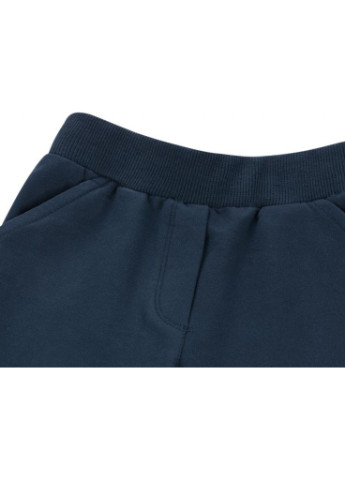 Синий демисезонный костюм десткий с объемной аппликацией (8401-110g-coral) Breeze