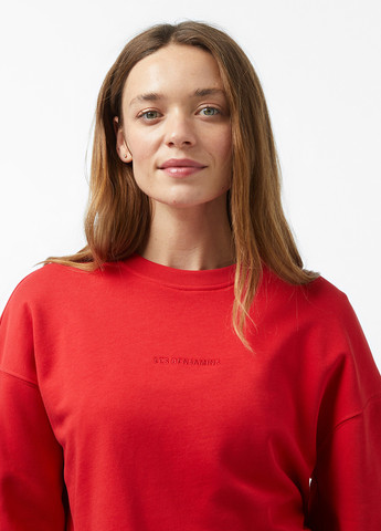 Красный свитшот Les Benjamins однотонный вышивка (329058539)