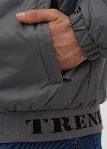 Серая демисезонная куртка Trend Collection