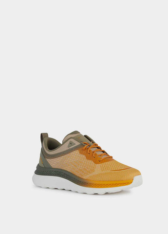 Цветные демисезонные кроссовки Geox