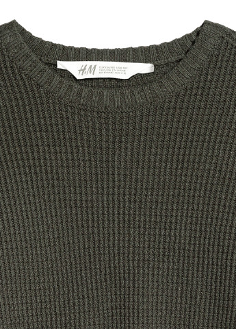 Сіро-зелений демісезонний джемпер джемпер H&M