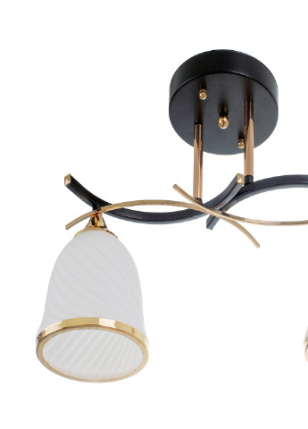 Люстра на 2 плафона LK-710S/2 E27 BK+FG Brille (220133484)