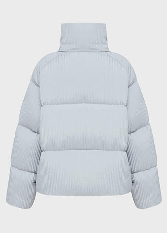 Голубой зимний Пуховик PRPY