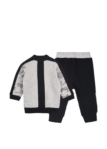 Серый демисезонный костюм (толстовка, брюки) брючный Ляля