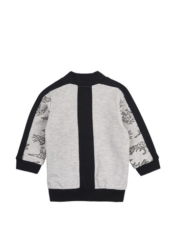 Серый демисезонный костюм (толстовка, брюки) брючный Ляля