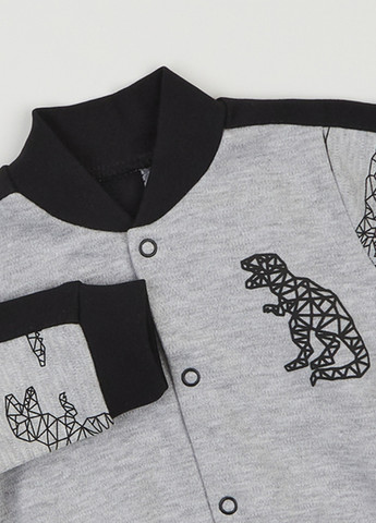 Серый демисезонный костюм (толстовка, брюки) брючный Ляля