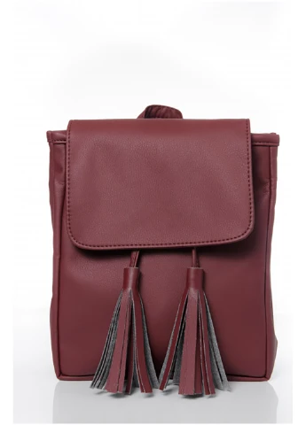Женский рюкзак 25х10х20 см Sambag (252155299)