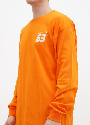 Оранжевый демисезонный кэжуал лонгслив Hanes с надписями