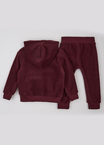 Бордовий демісезонний костюм (худи, штани) брючний ArDoMi