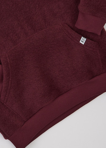 Бордовий демісезонний костюм (худи, штани) брючний ArDoMi