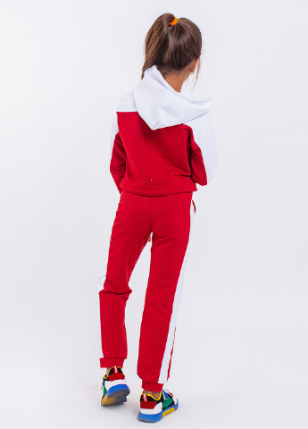 Красный демисезонный костюм (худи, брюки) брючный Modna Anka