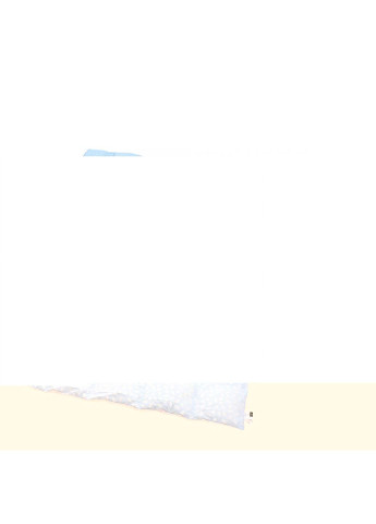 Одеяло пуховое 1837 Bio-Blue 90 пух деми 200x220 см (2200003013467) Mirson (254074701)