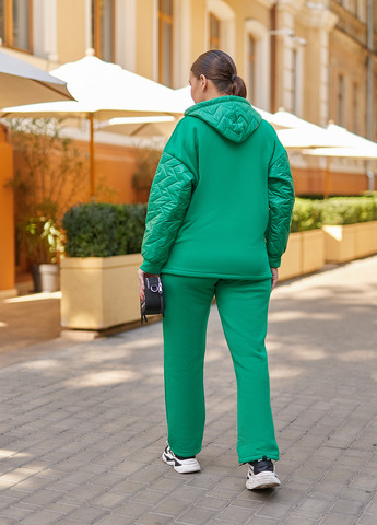 Костюм (толстовка, брюки) Demma (303901692)