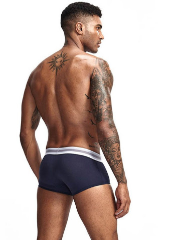 Труси чоловічі Lanvibum (250541509)