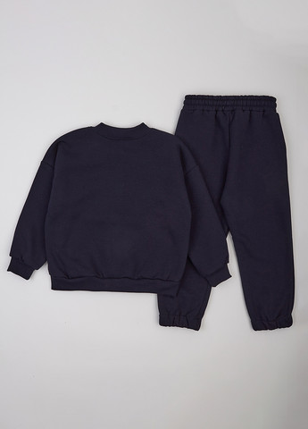 Спортивний костюм (толстовка, штани) Фламинго (314603333)