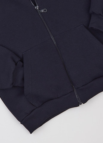 Спортивний костюм (толстовка, штани) Фламинго (314603333)