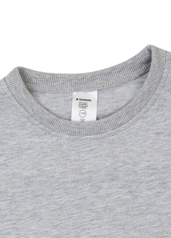 Сіра демісезонна футболка Garnamama