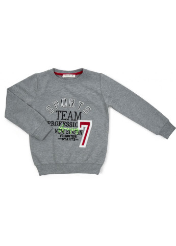 Серый демисезонный спортивный костюм "sport team" (13680-140b-gray) Breeze