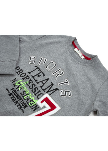 Серый демисезонный спортивный костюм "sport team" (13680-140b-gray) Breeze