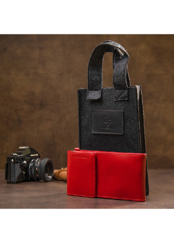 Женская кожаная сумка-кошелек 20х10х2 см Grande Pelle (252132135)